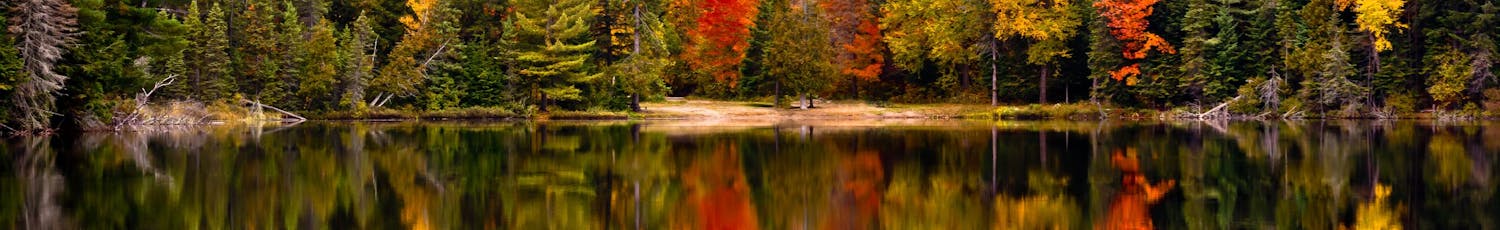 Fotografi av höstskog med reflektion